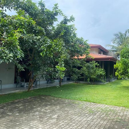 Negombo 146 Homestay Exteriör bild