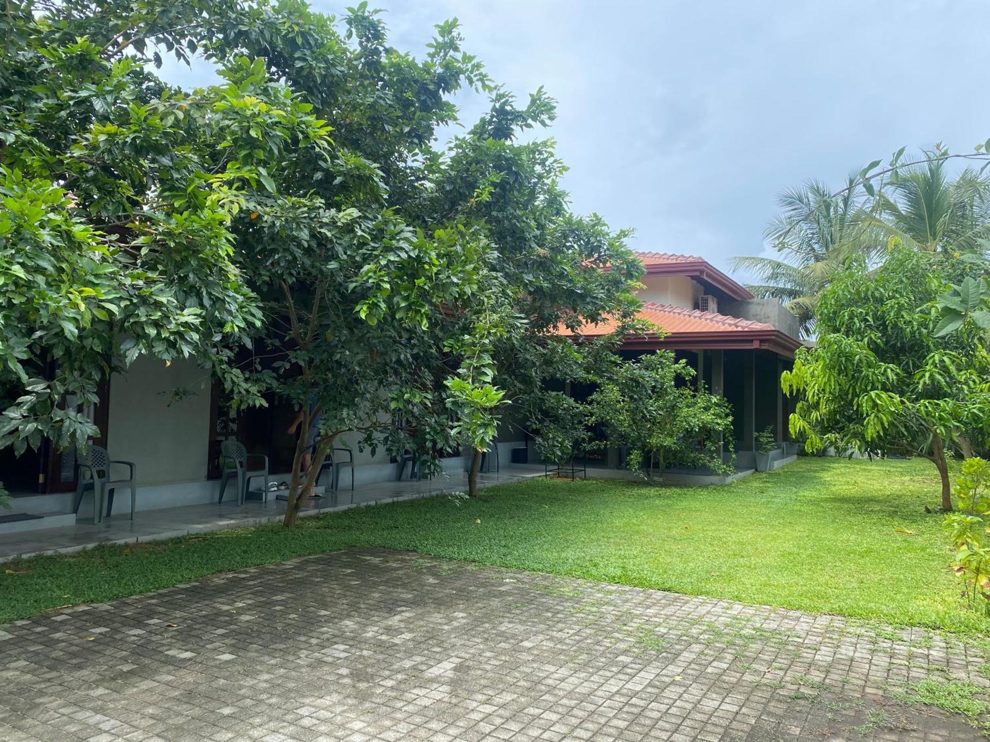 Negombo 146 Homestay Exteriör bild