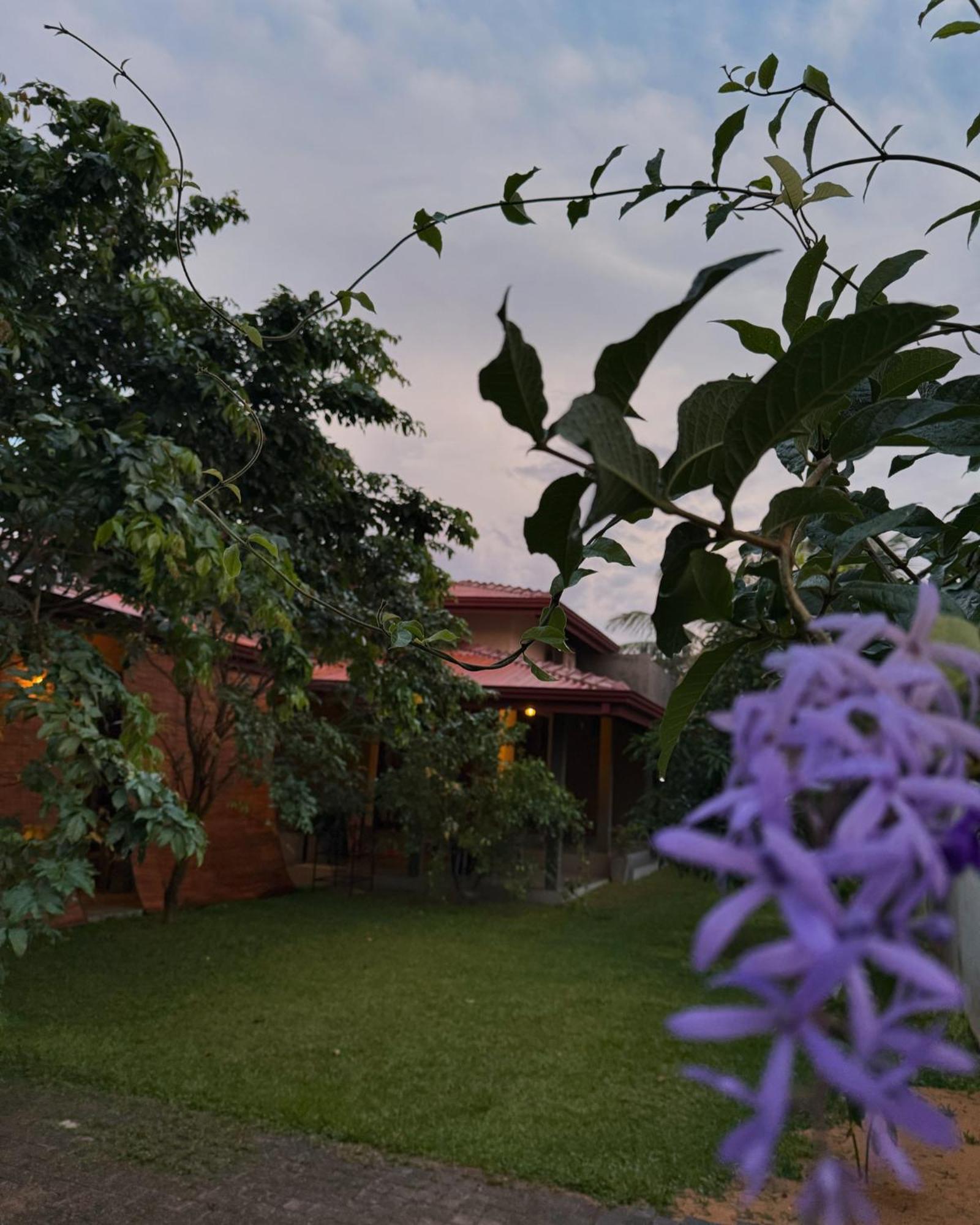 Negombo 146 Homestay Exteriör bild